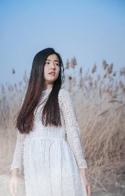 免费观看30分钟高清电视剧在线观看